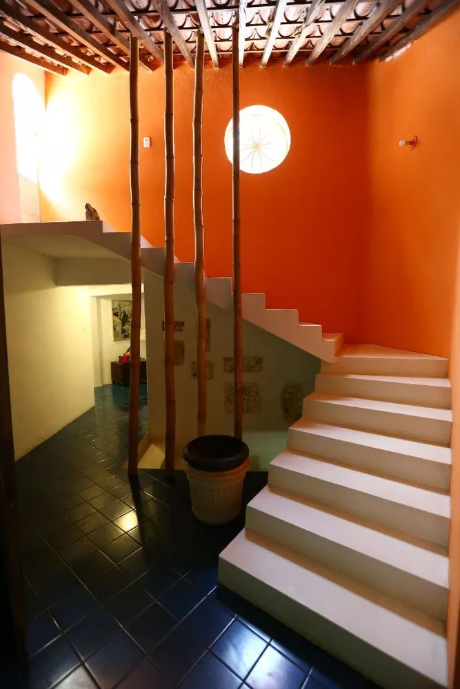 Terreno, 8 hectares - Foto 11