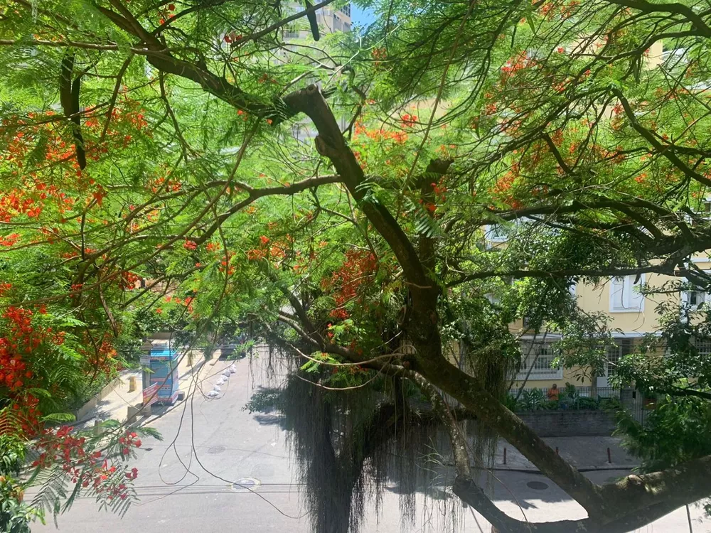 Apartamento, 4 quartos, 176 m² - Foto 12