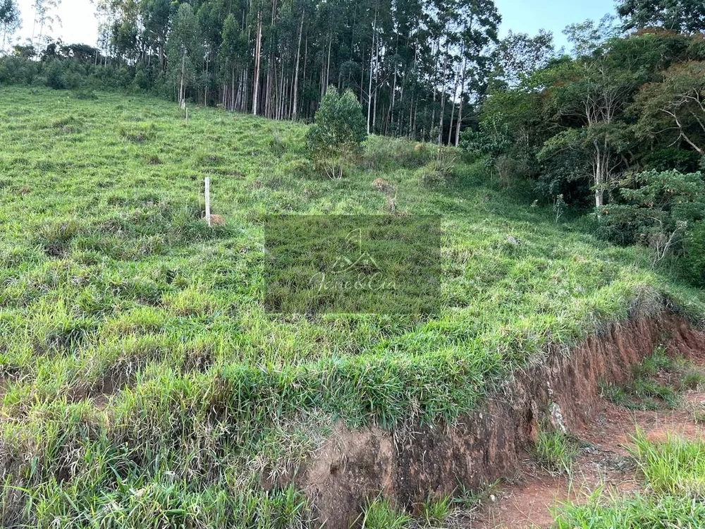 Terreno, 3 hectares - Foto 3