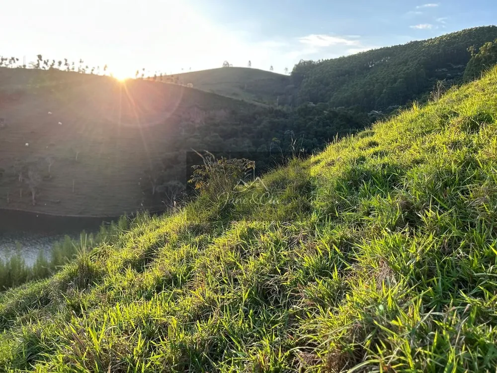 Terreno, 3 hectares - Foto 9
