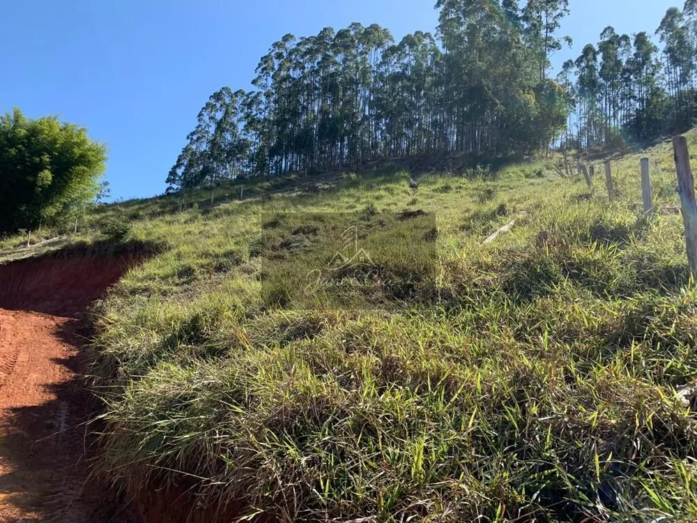 Terreno, 3 hectares - Foto 11