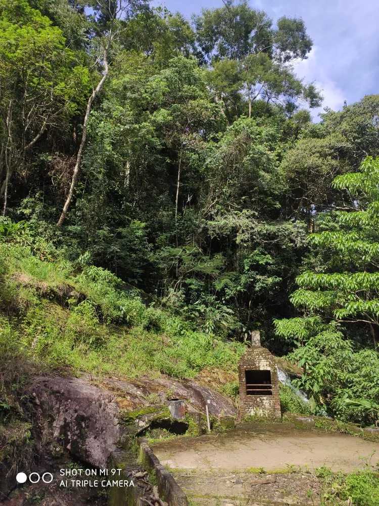 Sítio, 3 quartos, 87 hectares - Foto 4