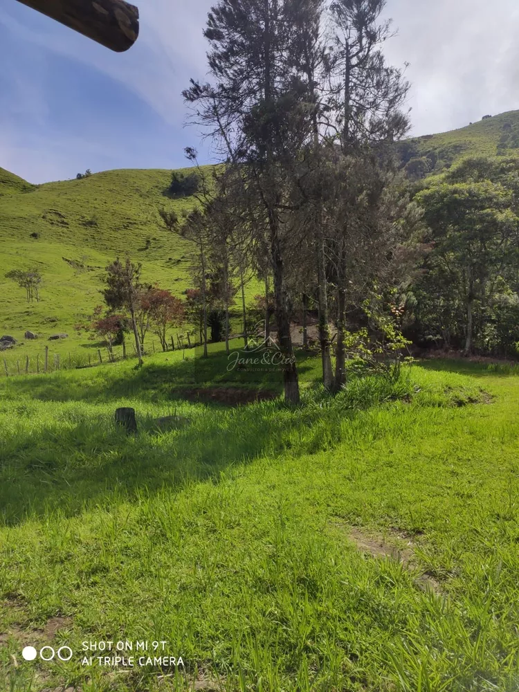 Sítio, 3 quartos, 87 hectares - Foto 3
