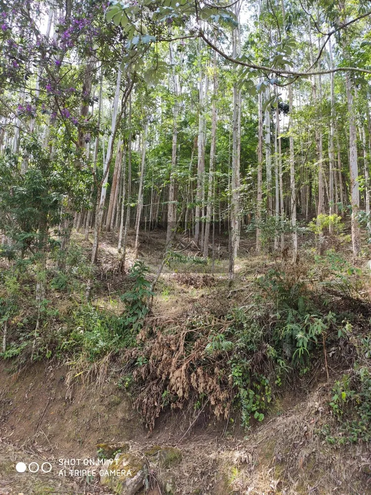 Sítio, 3 quartos, 87 hectares - Foto 3