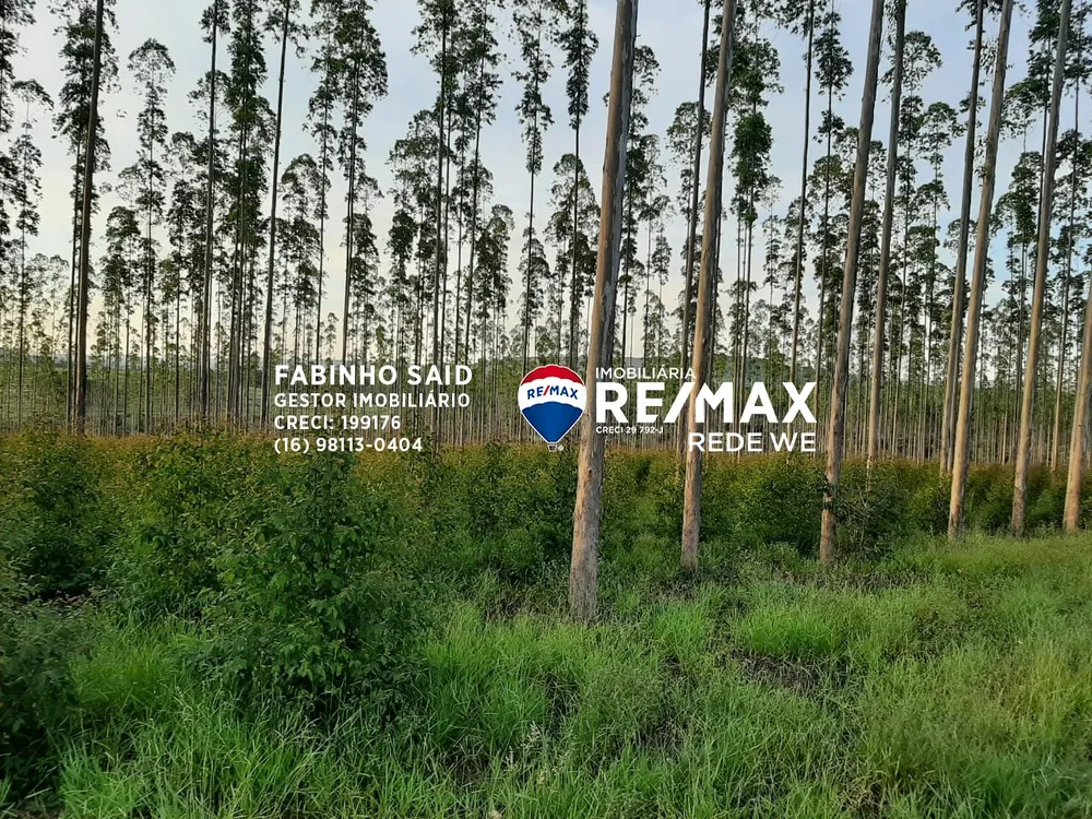 Fazenda, 118 m² - Foto 6