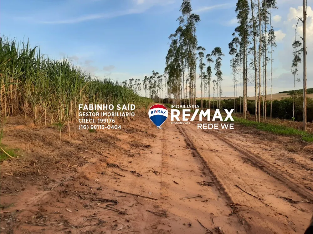 Fazenda, 118 m² - Foto 6