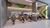Sala-Conjunto, 320 m² - Foto 1