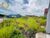 Terreno, 400 m² - Foto 4