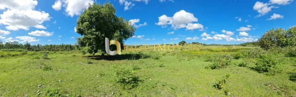 Fazenda, 252 hectares - Foto 50
