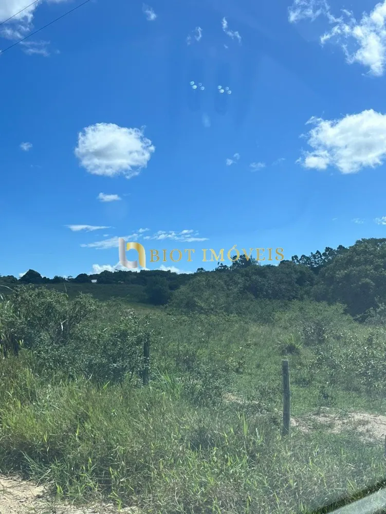 Fazenda, 252 hectares - Foto 7
