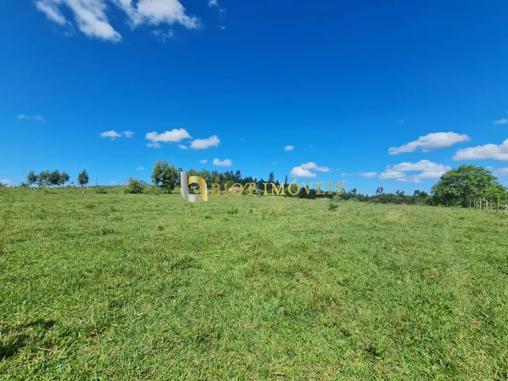 Fazenda, 252 hectares - Foto 29