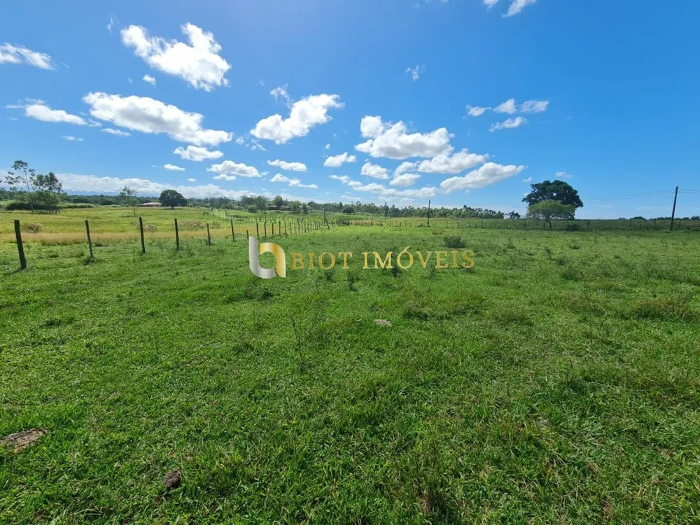 Fazenda, 252 hectares - Foto 31