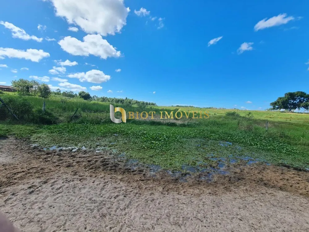 Fazenda, 252 hectares - Foto 45