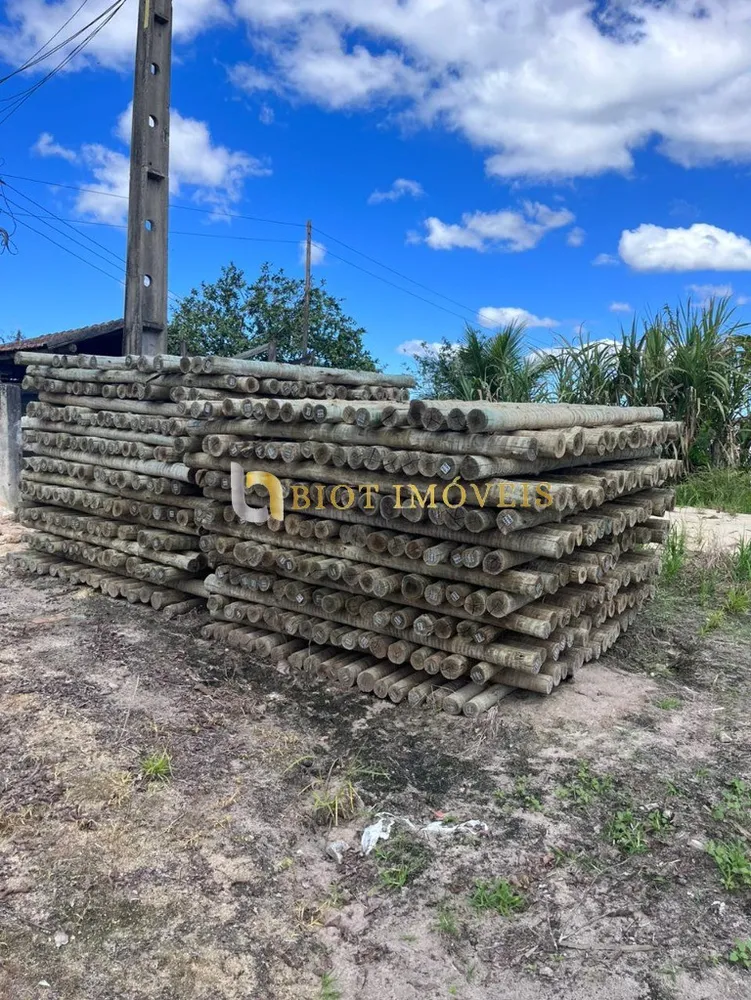 Fazenda - Foto 26