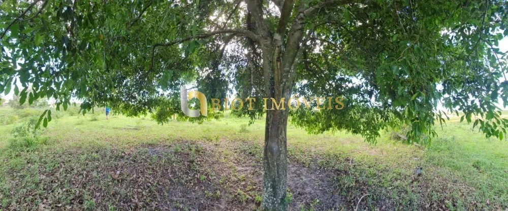 Fazenda - Foto 40