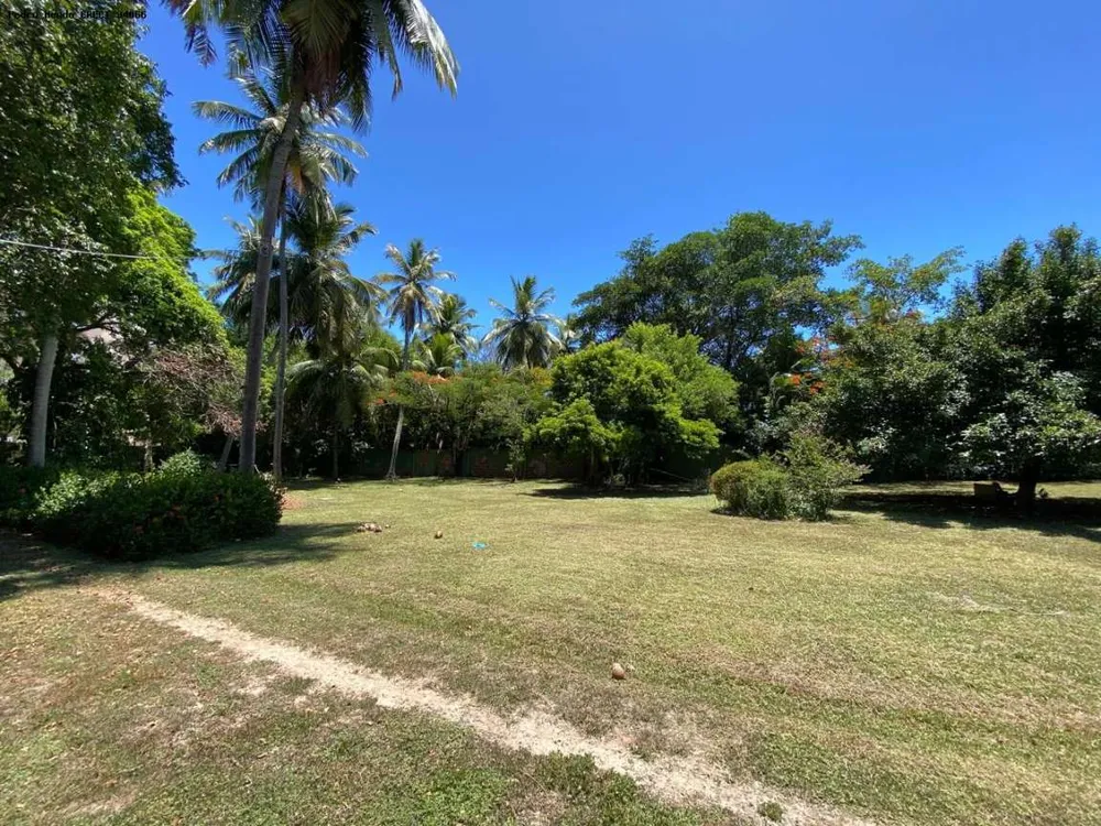Casa, 4 quartos, 5000 m² - Foto 5