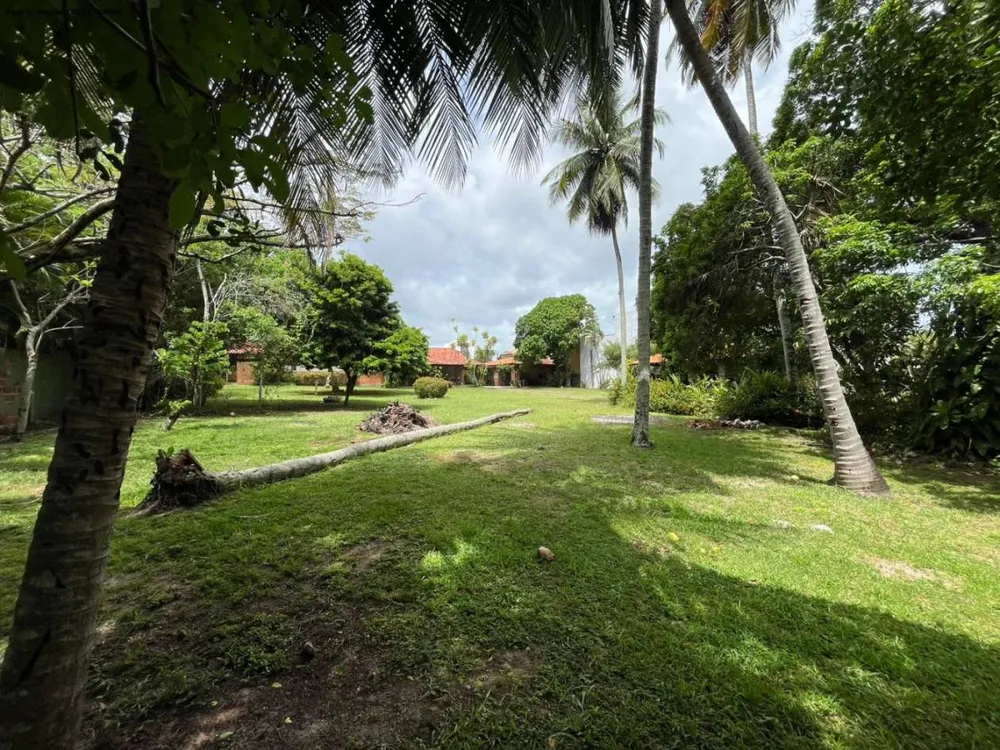Casa, 4 quartos, 5000 m² - Foto 2