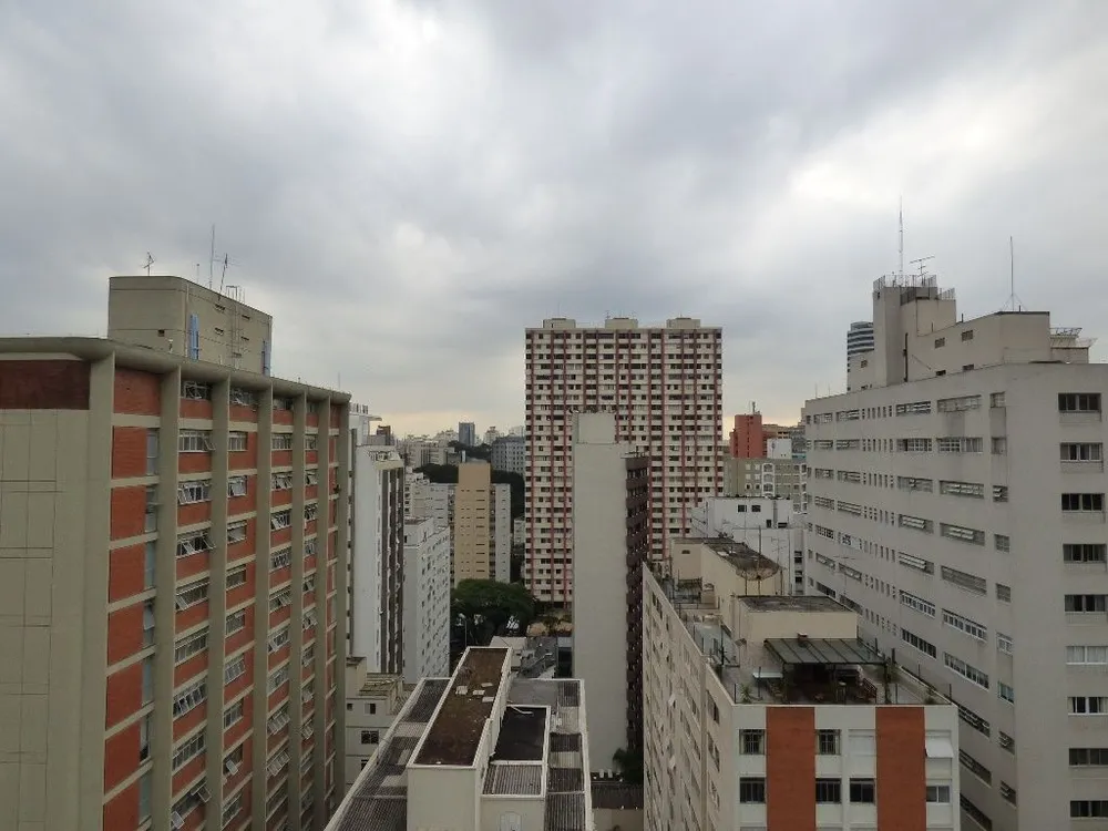 Apartamento, 4 quartos, 490 m² - Foto 7