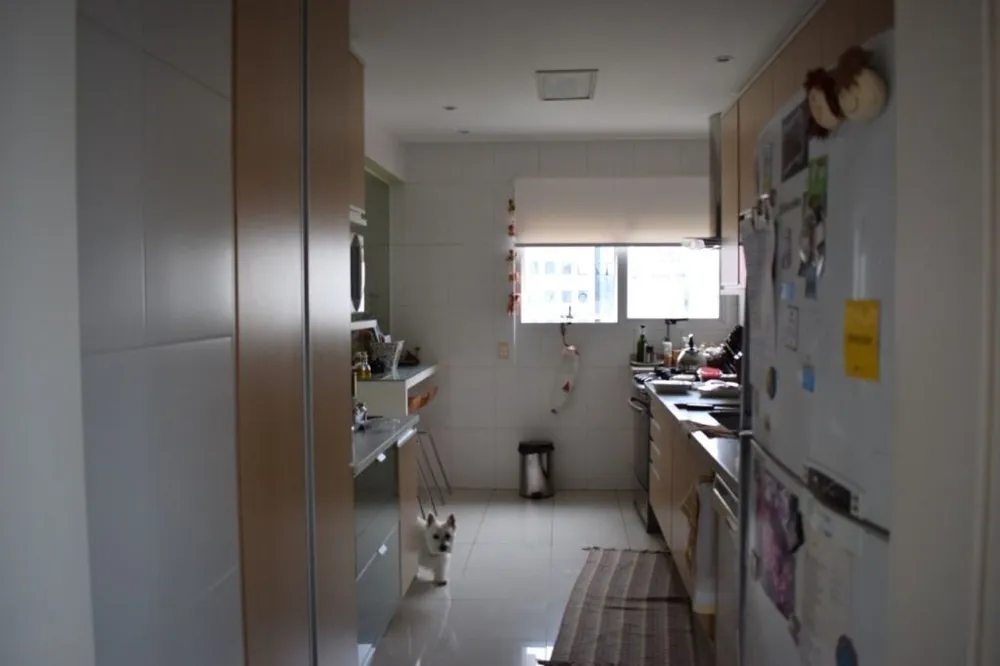 Apartamento, 4 quartos, 238 m² - Foto 8