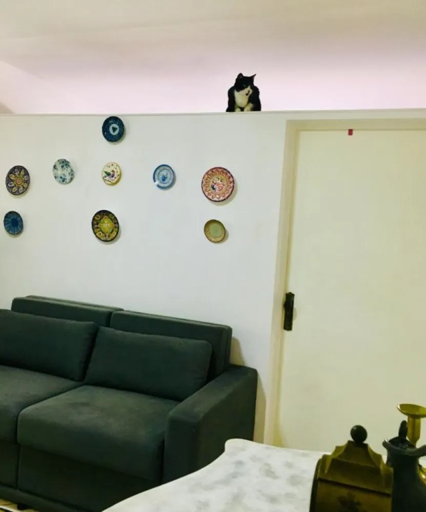 Apartamento, 1 quarto, 36 m² - Foto 2