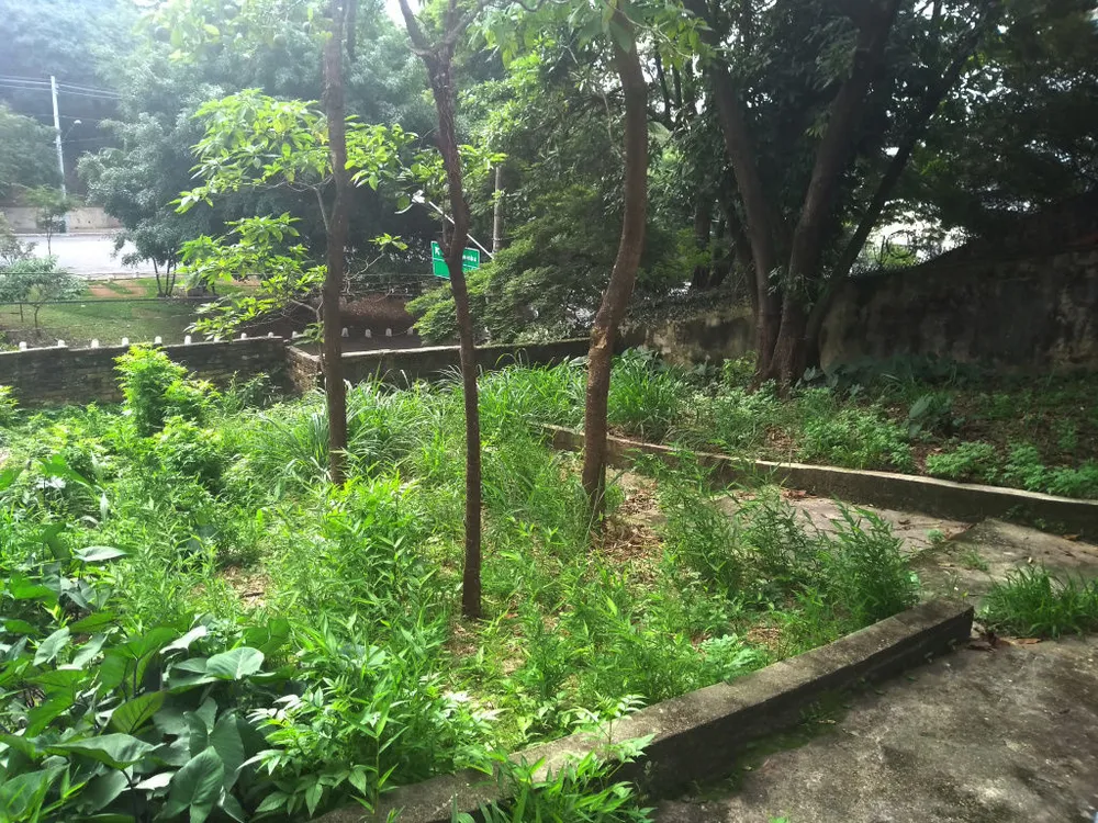 Terreno, 506 m² - Foto 8