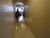 Apartamento, 3 quartos, 121 m² - Foto 2