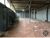 Prédio Inteiro, 570 m² - Foto 6