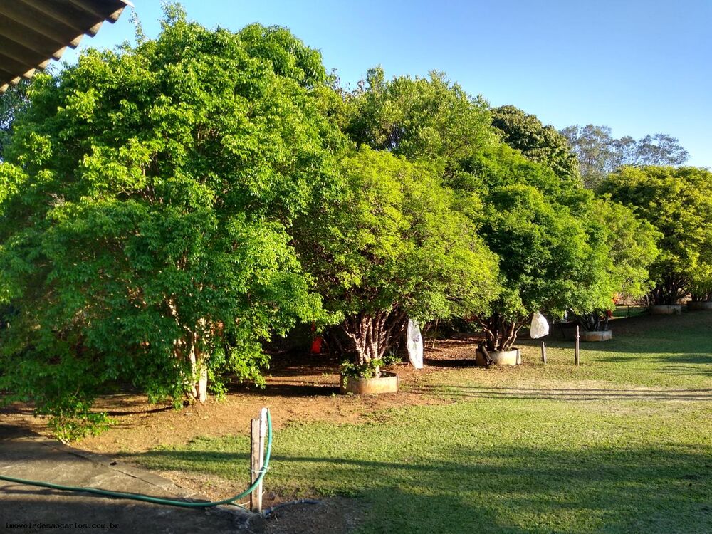 Sítio, 3 quartos, 3 hectares - Foto 11