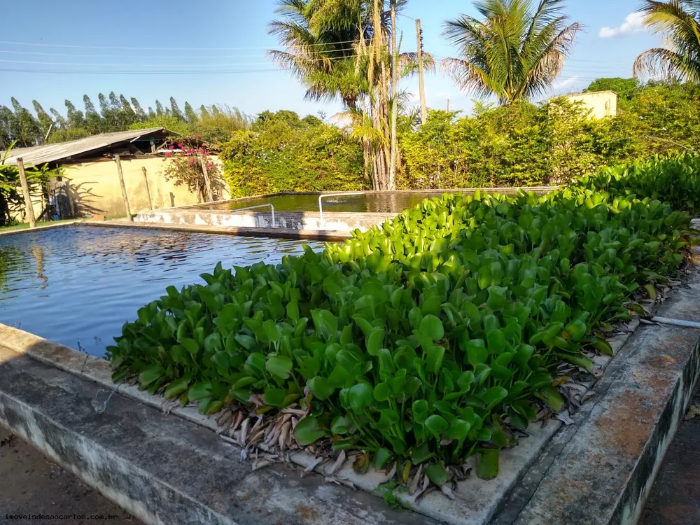 Sítio, 3 quartos, 3 hectares - Foto 19