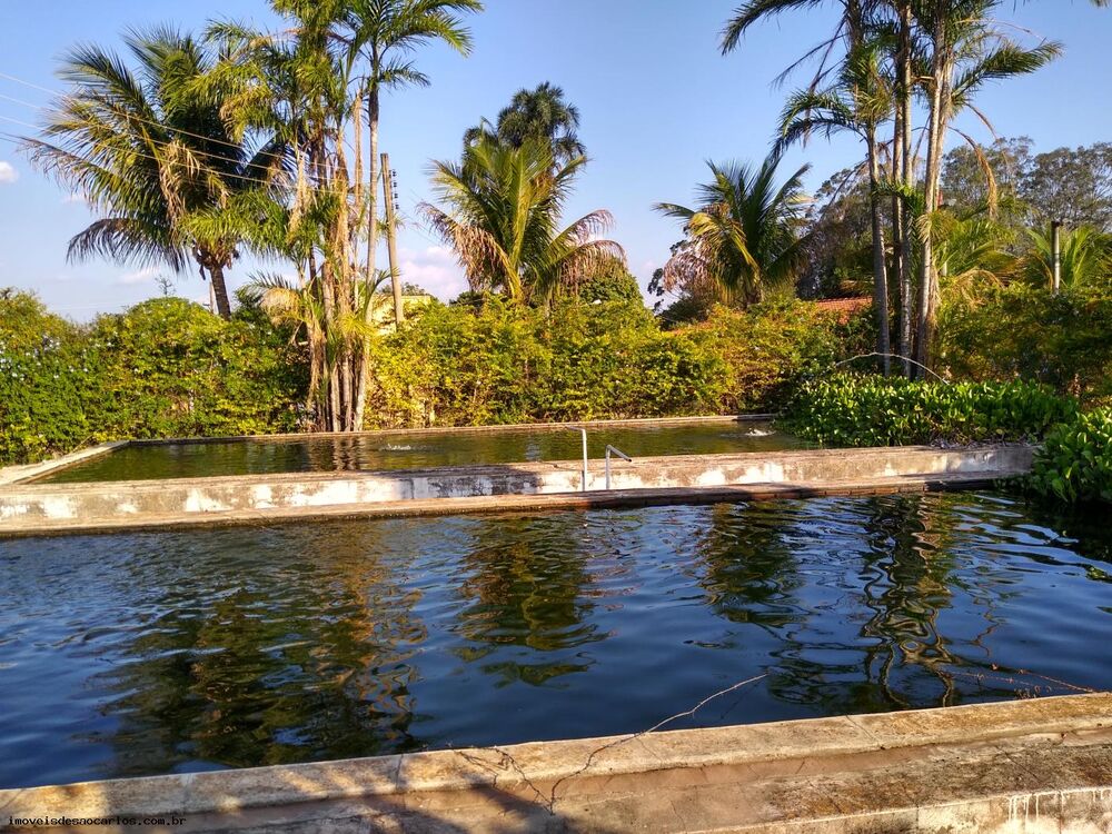 Sítio, 3 quartos, 3 hectares - Foto 18