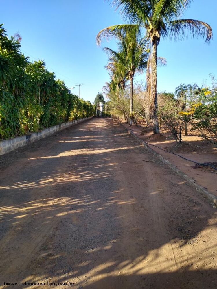 Sítio, 3 quartos, 3 hectares - Foto 1
