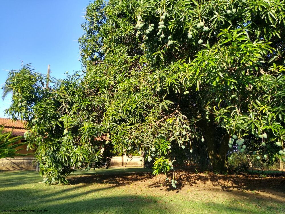 Sítio, 3 quartos, 3 hectares - Foto 10