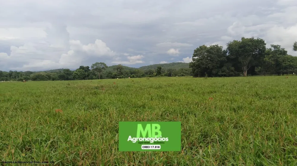 Fazenda, 343 hectares - Foto 6