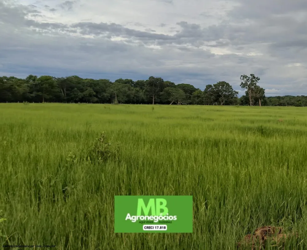 Fazenda, 343 hectares - Foto 7