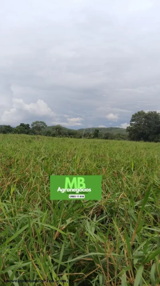 Fazenda, 343 hectares - Foto 4