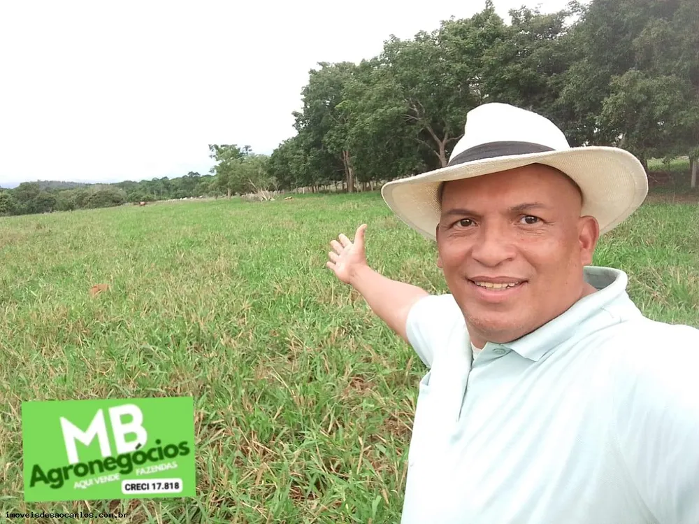 Fazenda, 343 hectares - Foto 8
