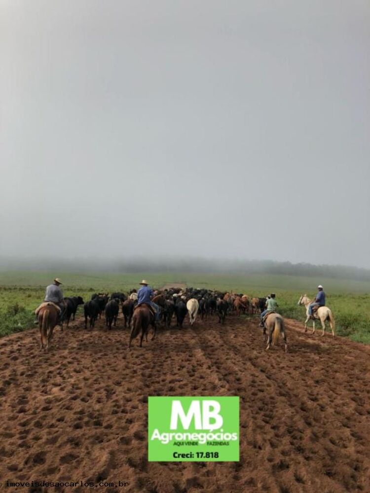 Fazenda, 1700 hectares - Foto 4