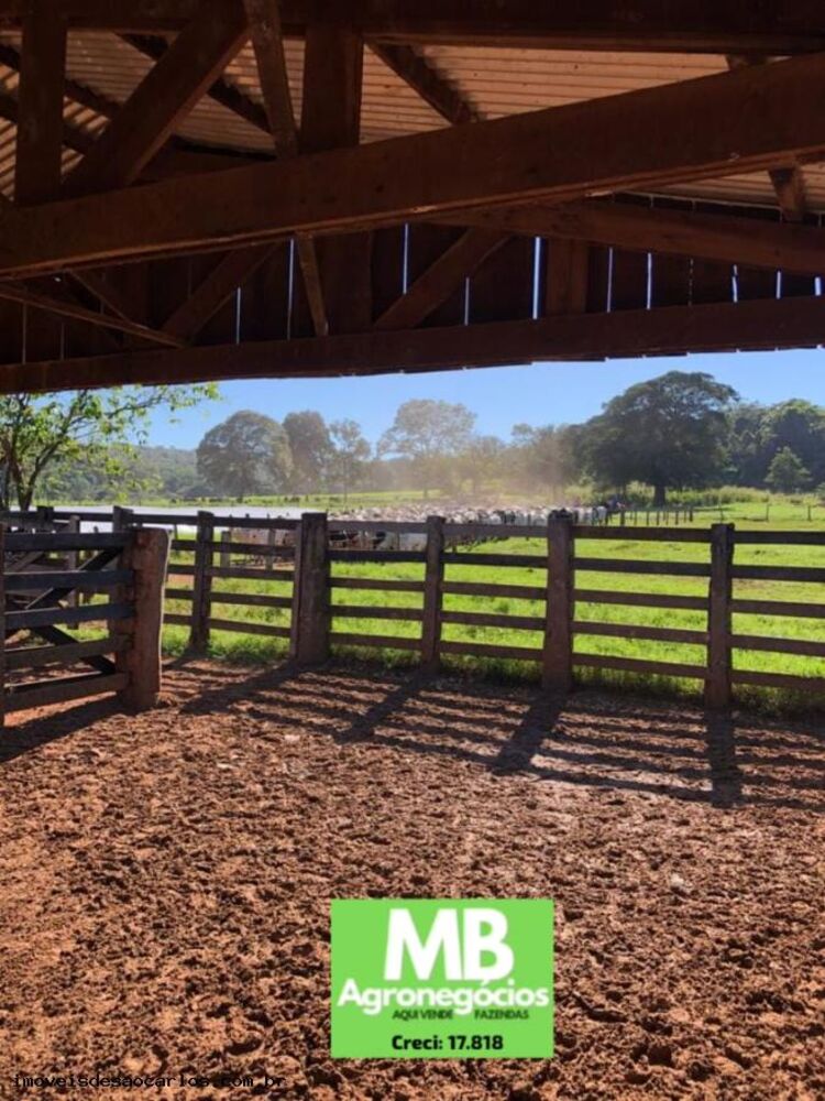 Fazenda, 1700 hectares - Foto 12