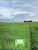 Fazenda, 1700 hectares - Foto 3