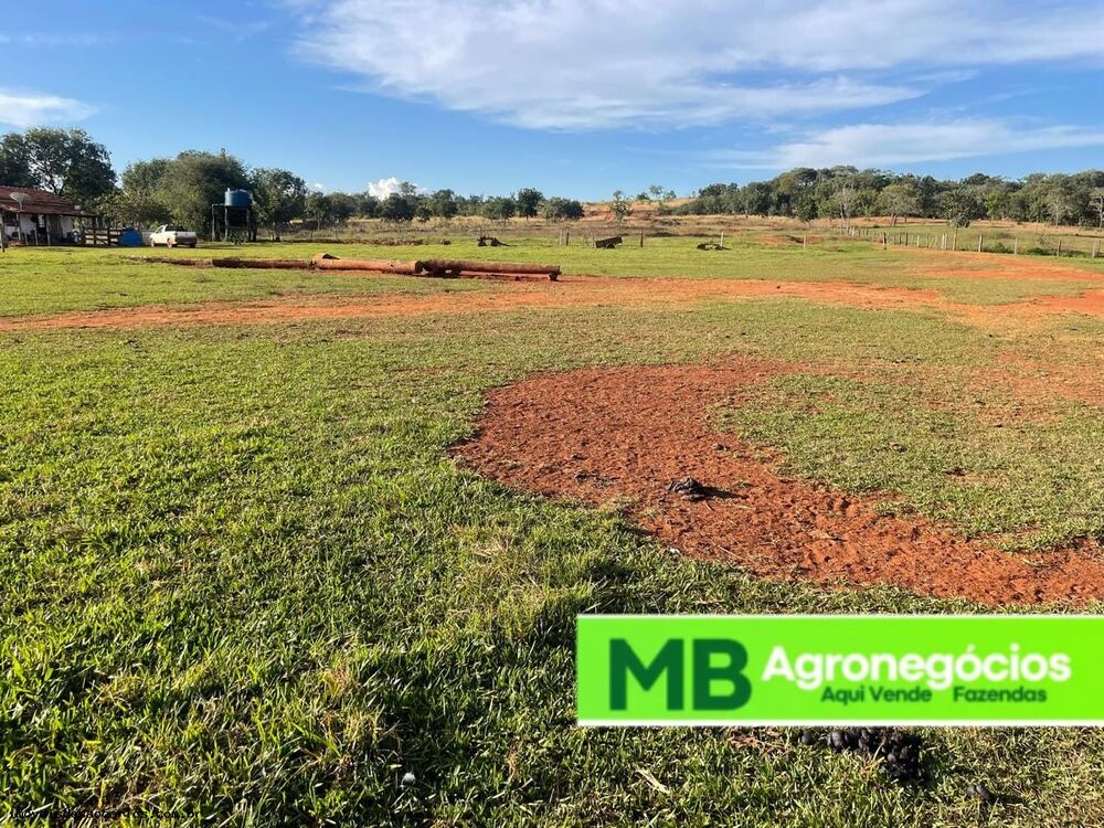 Fazenda, 530 hectares - Foto 10