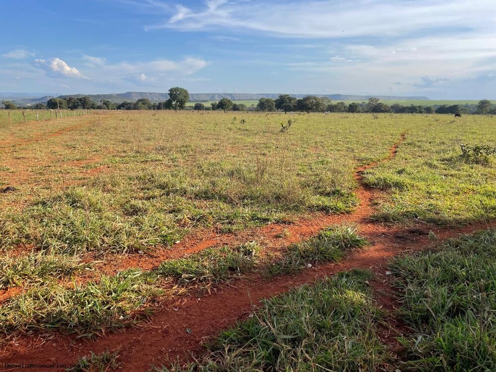 Fazenda, 530 hectares - Foto 6