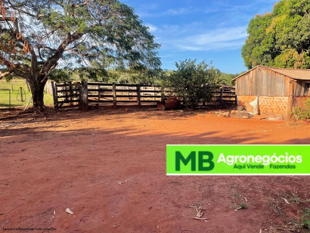 Fazenda, 530 hectares - Foto 3