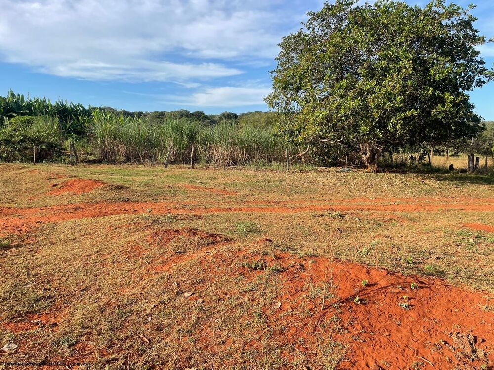 Fazenda, 530 hectares - Foto 4