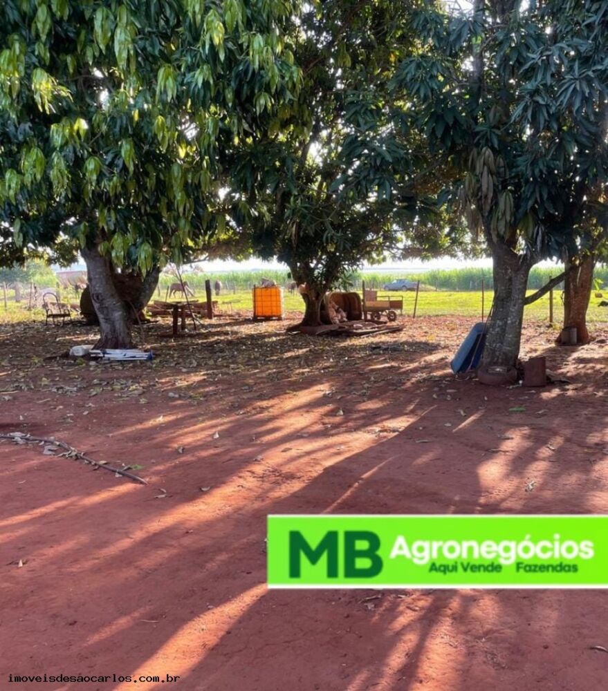 Fazenda, 530 hectares - Foto 1