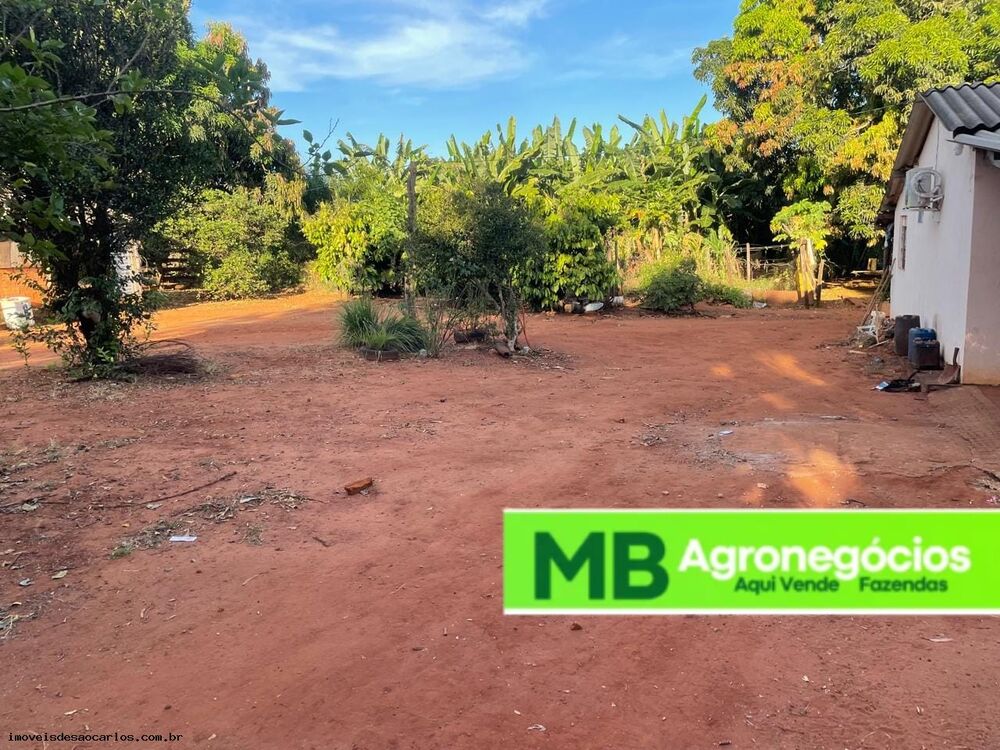 Fazenda, 530 hectares - Foto 2