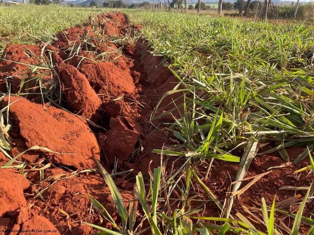 Fazenda, 530 hectares - Foto 11