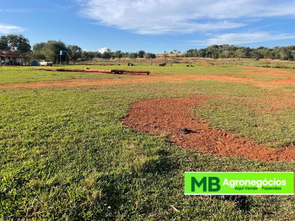 Fazenda, 530 hectares - Foto 9