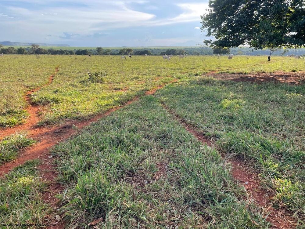 Fazenda, 530 hectares - Foto 7