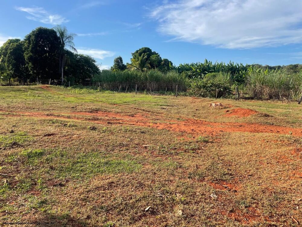 Fazenda, 530 hectares - Foto 5