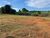 Fazenda, 530 hectares - Foto 5